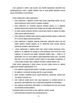 Referāts 'Mazo un vidējo uzņēmumu situācija Latvijā', 10.