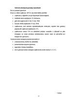 Referāts 'Mazo un vidējo uzņēmumu situācija Latvijā', 17.