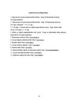 Referāts 'Mazo un vidējo uzņēmumu situācija Latvijā', 24.