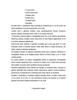 Referāts 'Autortiesības', 5.