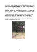 Diplomdarbs 'Atpūtas kompleksa "Minhauzena Unda" produkta raksturojums un tā virzība tirgū', 34.