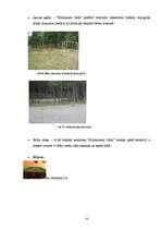 Diplomdarbs 'Atpūtas kompleksa "Minhauzena Unda" produkta raksturojums un tā virzība tirgū', 50.