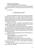 Referāts 'Komunikatīvo prasmju attīstības iespējas grupas psiholoģiskajās nodarbībās', 16.