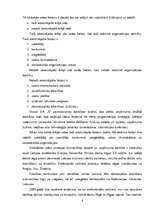 Diplomdarbs 'SIA "X" iekšējās un ārējās vides analīze un attīstības iespēju izvērtējums', 8.