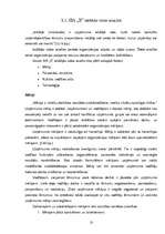 Diplomdarbs 'SIA "X" iekšējās un ārējās vides analīze un attīstības iespēju izvērtējums', 10.