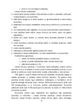 Diplomdarbs 'SIA "X" iekšējās un ārējās vides analīze un attīstības iespēju izvērtējums', 28.