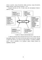 Diplomdarbs 'SIA "X" iekšējās un ārējās vides analīze un attīstības iespēju izvērtējums', 29.