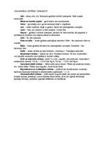 Konspekts 'Aprūpes plāns terapijā', 5.