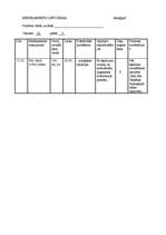 Konspekts 'Aprūpes plāns terapijā', 13.