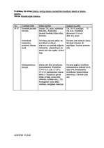 Konspekts 'Aprūpes plāns terapijā', 17.