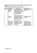 Konspekts 'Aprūpes plāns terapijā', 19.