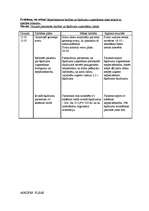 Konspekts 'Aprūpes plāns terapijā', 20.