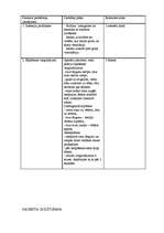 Konspekts 'Aprūpes plāns terapijā', 23.