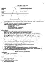 Konspekts 'Vadīšana un vadītāji', 3.