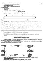 Konspekts 'Vadīšana un vadītāji', 4.