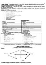 Konspekts 'Vadīšana un vadītāji', 12.