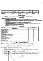 Konspekts 'Vadīšana un vadītāji', 19.