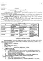 Konspekts 'Vadīšana un vadītāji', 20.