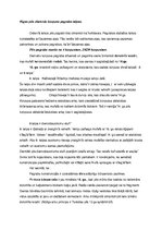 Konspekts 'Rīgas pils dienvidu korpusa pagraba telpas', 1.