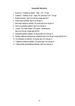 Referāts 'Tiešie nodokļi un to loma valsts ienākumu veidošanā', 29.