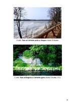 Referāts 'Dabas aizsardzības plāns Lāčplēša parkam Lielvārdē', 24.