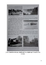 Referāts 'Dabas aizsardzības plāns Lāčplēša parkam Lielvārdē', 25.