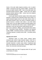 Konspekts 'Pasaules ekonomikas reģionalizācija', 4.