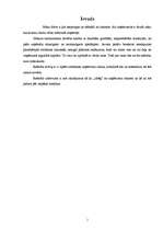 Referāts 'Riski uzņēmumā', 1.