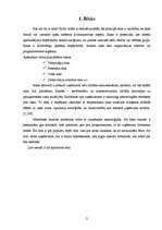 Referāts 'Riski uzņēmumā', 2.