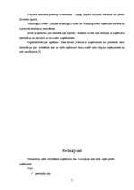 Referāts 'Riski uzņēmumā', 7.