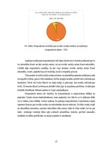 Diplomdarbs 'Sociāli atbildīga un izklaidējoša audiovizuālā satura efektivitāte sociālo medij', 25.