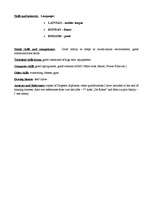 Paraugs 'Curriculum vitae', 3.