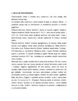 Referāts 'Apģērbu tirgus pētījums', 1.