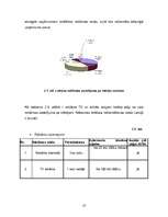 Referāts 'Apģērbu tirgus pētījums', 10.