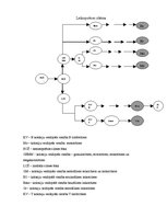Konspekts 'Asinsrades process', 2.
