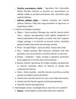 Konspekts 'Asinsrades process', 4.