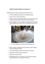 Konspekts 'Izklaides iespējas viesmīlības uzņēmumos Latvijā', 7.