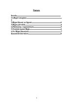 Referāts 'Livonijas pilsēta - Rīga', 2.