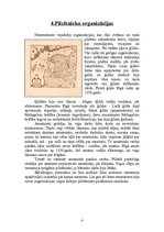 Referāts 'Livonijas pilsēta - Rīga', 6.