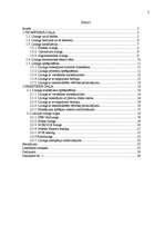 Referāts 'Līzings, autolīzinga iespējas Latvijā', 2.