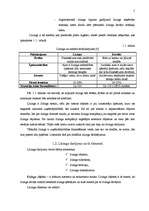 Referāts 'Līzings, autolīzinga iespējas Latvijā', 5.