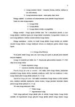 Referāts 'Līzings, autolīzinga iespējas Latvijā', 6.