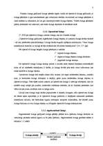 Referāts 'Līzings, autolīzinga iespējas Latvijā', 8.