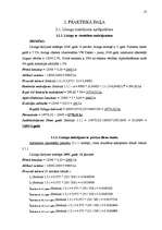 Referāts 'Līzings, autolīzinga iespējas Latvijā', 13.