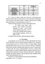 Referāts 'Līzings, autolīzinga iespējas Latvijā', 17.