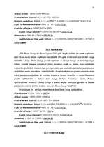 Referāts 'Līzings, autolīzinga iespējas Latvijā', 18.