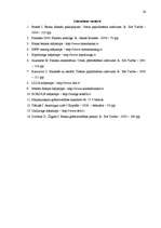 Referāts 'Līzings, autolīzinga iespējas Latvijā', 24.