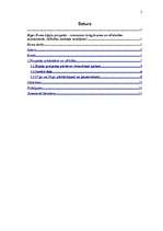 Referāts 'Rīgas Doma ērģeļu prospekts – renesanses kokgriezuma un tēlniecības meistardarbs', 2.