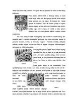 Referāts 'Rīgas Doma ērģeļu prospekts – renesanses kokgriezuma un tēlniecības meistardarbs', 7.