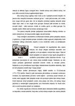 Referāts 'Rīgas Doma ērģeļu prospekts – renesanses kokgriezuma un tēlniecības meistardarbs', 10.